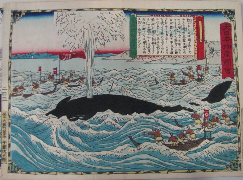 江戸時代、庶民に人気だった鯨は経済を動かしていた